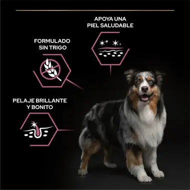 nutricion