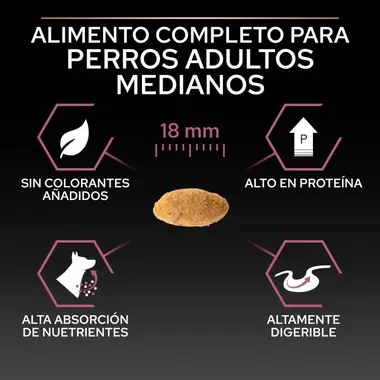 alimento