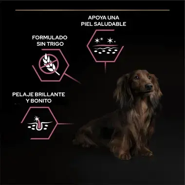 ciencia