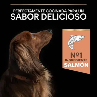 sabor