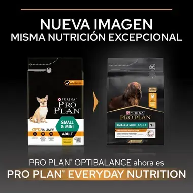 nueva imagen