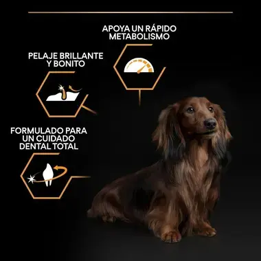 nutricion