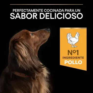 sabor