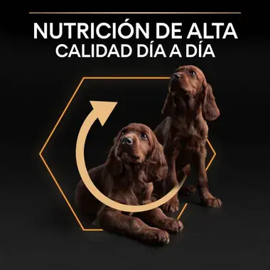 nutri info