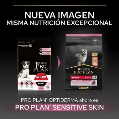 nueva imagen