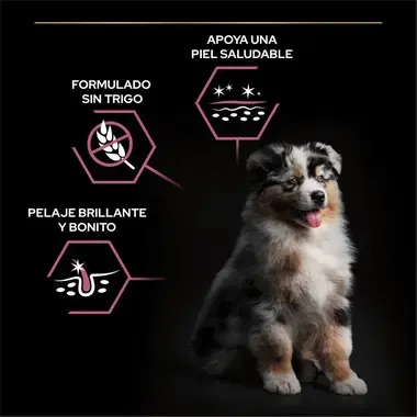 nutricion