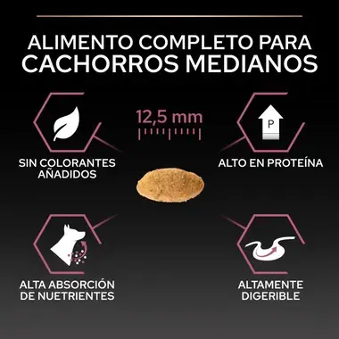 alimento