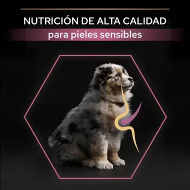 nutri info