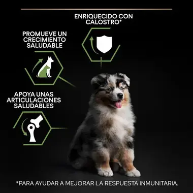informa