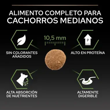 alimento