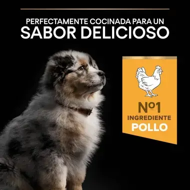 sabor