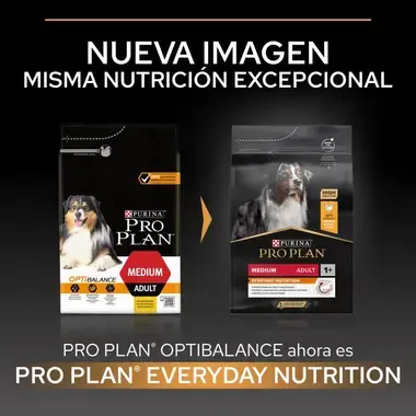 nutricion