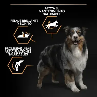 caracteristicas
