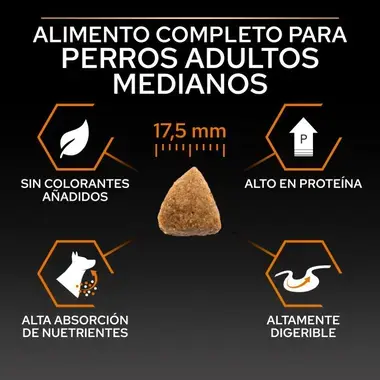 alimento