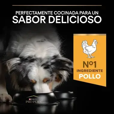 sabor