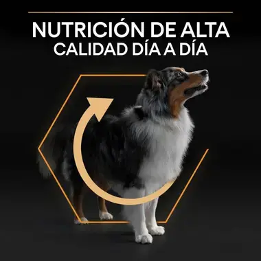 calidad