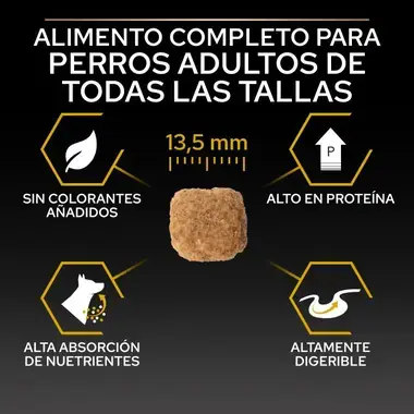 alimento