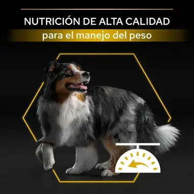 nutri info