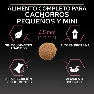nutri info