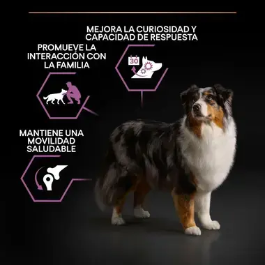 nutri info