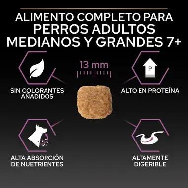 alimento