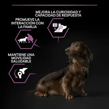 ciencia