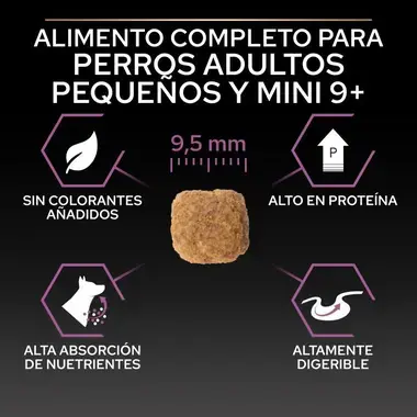 alimento