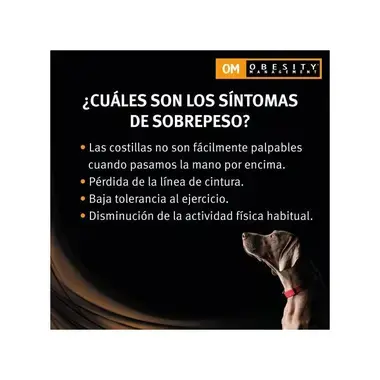 informacion