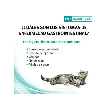 informacion