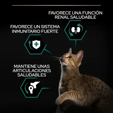 nutri info