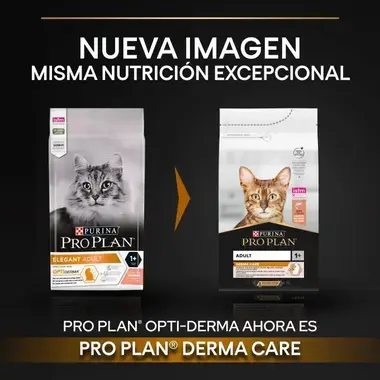 nueva imagen