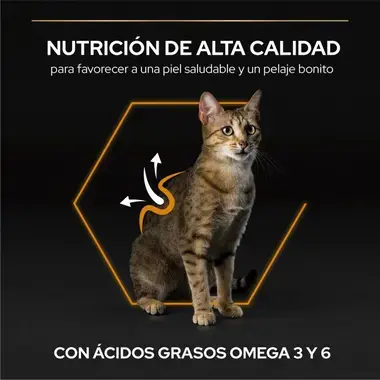 nutricion
