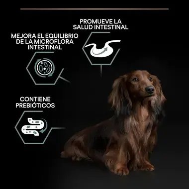 explicacion