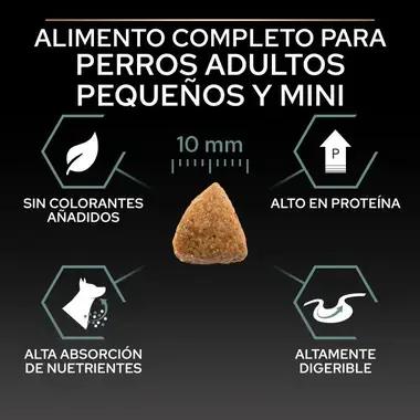 alimento