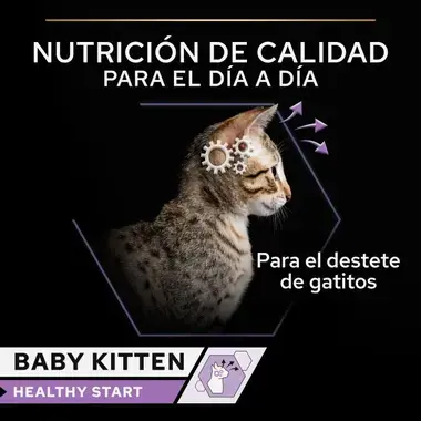 nutricion