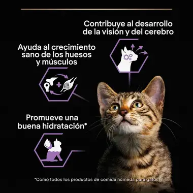 alimento