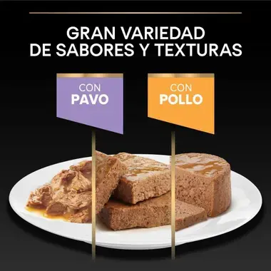 sabor