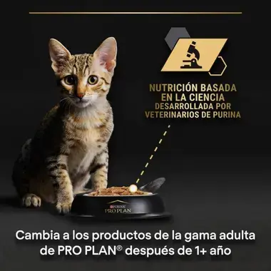 ciencia