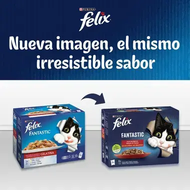 nueva imagen