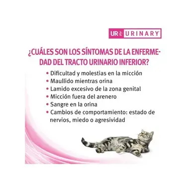 sintomas