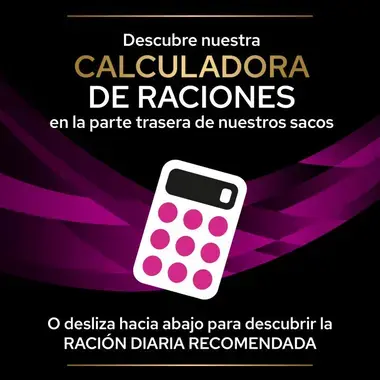 calculadora