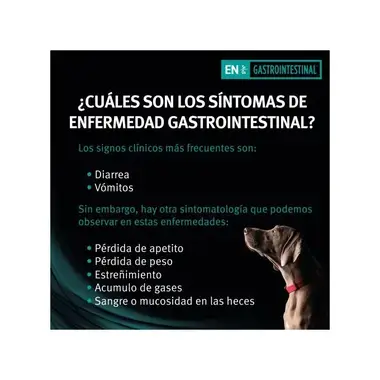 sintomas