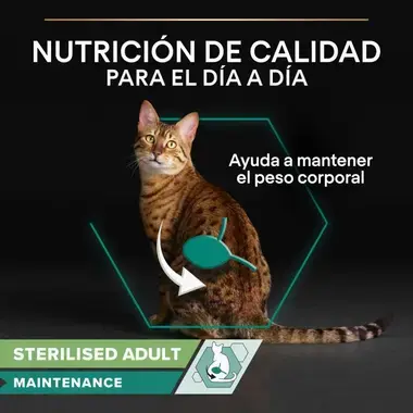 nutricion