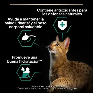 alimento