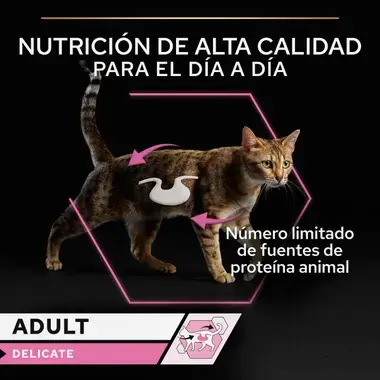 nutricion