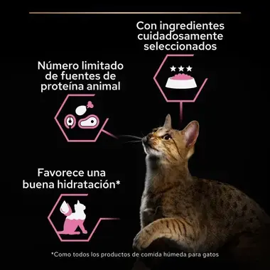 alimento