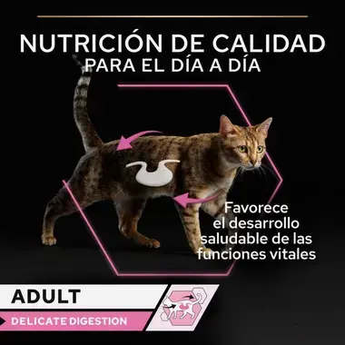 nutricion