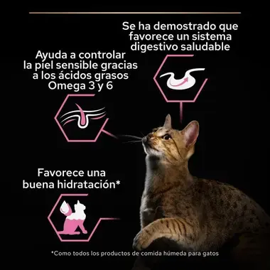 alimento
