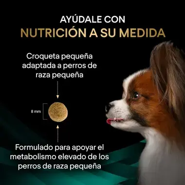 nutricion