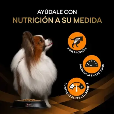 nutricion